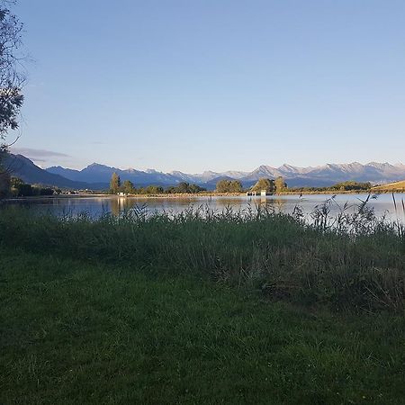 Camping La Motte Flottante La Freissinouse エクステリア 写真