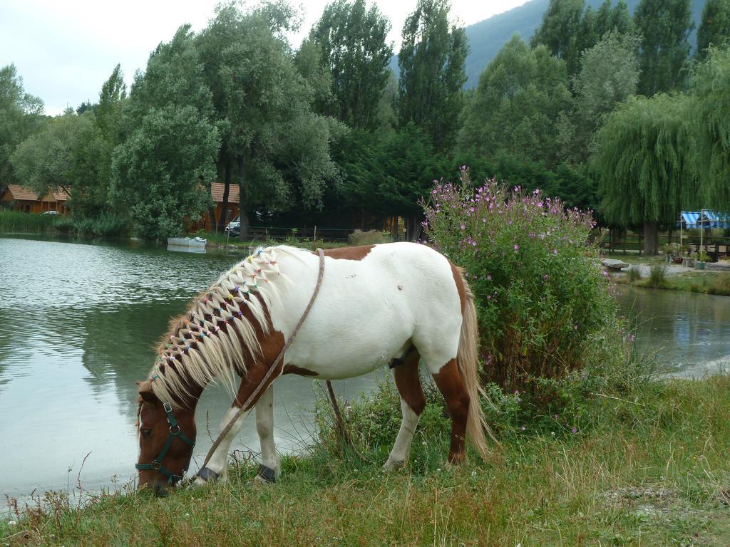 Camping La Motte Flottante La Freissinouse エクステリア 写真