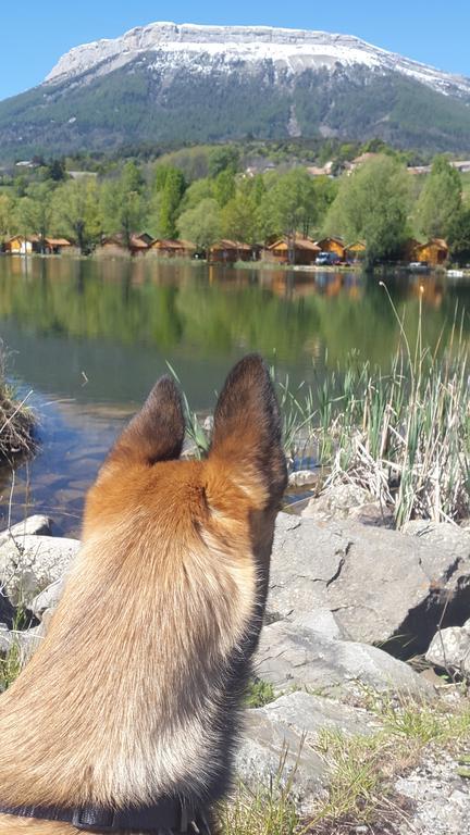 Camping La Motte Flottante La Freissinouse エクステリア 写真